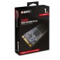 Emtec X250 M2 1000 Gb Serial Ata